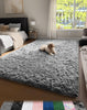 Machine Washable Upgrade 4X6 Rugs for Bedroom, Grey, Fluffy Shaggy Soft Area Rug, Gray Non-Slip Indoor Floor Carpet for Living Room, Kids Baby Boys Teen Dorm Home Decor Aesthetic, Nursery, Rug