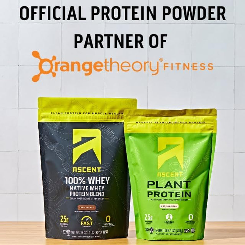 100% Whey Protein Powder - Post Workout Whey Protein Isolate, Zero Artificial Flavors & Sweeteners, Gluten Free, 5.5G BCAA, 2.6G Leucine, Essential Amino Acids, Chocolate 2 Lb